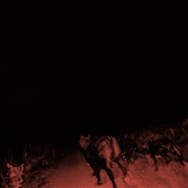 Image for 0616892567240-m