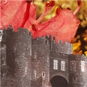 Image for 0652637282221-m