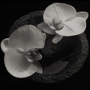Image for 0689230021124-m