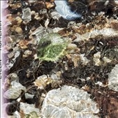Image for 0880918229607-m
