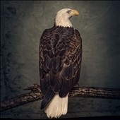 Image for 0896308002811-m