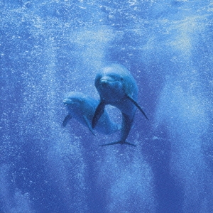 Image for 4511760000668-m