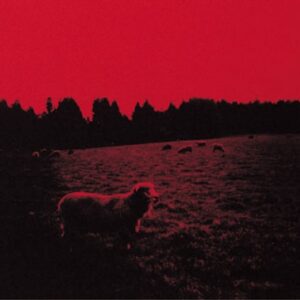 Image for 4514306010534-m