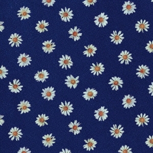 Image for 4514306011906-m