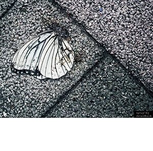 Image for 4514306013870-m