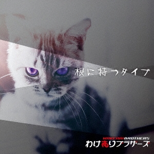 Image for 4525118067555-m