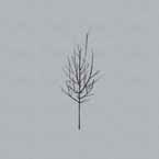 Image for 4526180436140-m