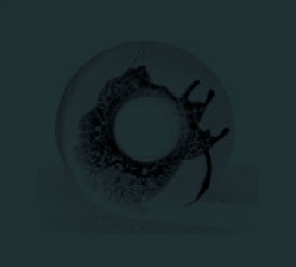 Image for 4532813032481-m