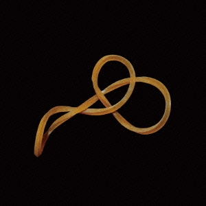 Image for 4532813841595-m