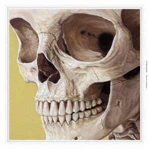 Image for 4547366283228-m