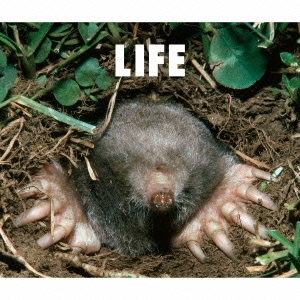 Image for 4547403034295-m