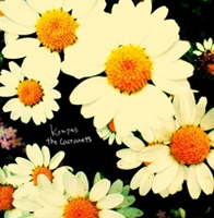 Image for 4560269060703-m