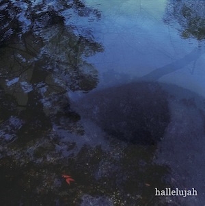 Image for 4560269060918-m