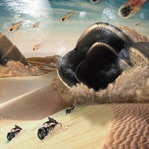 Image for 4562166393977-m