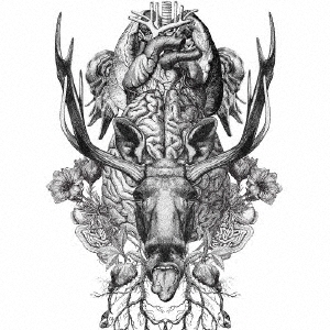 Image for 4562166394301-m