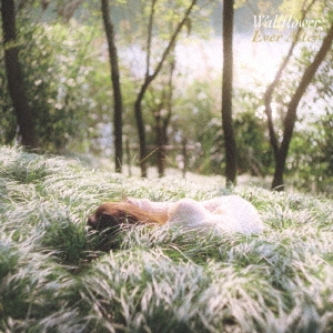 Image for 4562239740653-m