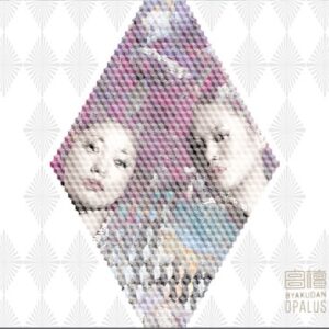 Image for 4562447310013-m