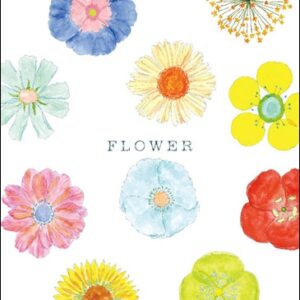 Image for 4571108180513-m