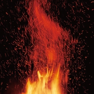 Image for 4571381530364-m