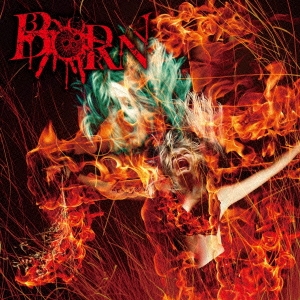 Image for 4580255110816-m