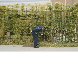 Image for 4580339370242-m