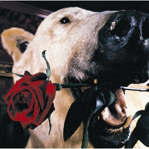 Image for 4582192934302-m