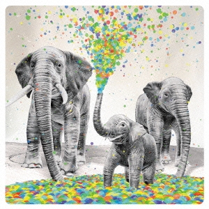 Image for 4582202441370-m