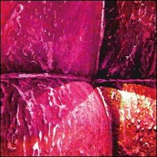 Image for 4582237828597-m