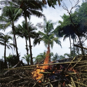 Image for 4582237838572-m