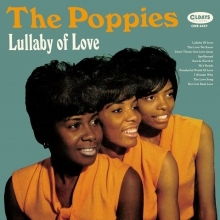 Image for 4582239484579-m