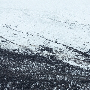 Image for 4941135369913-m