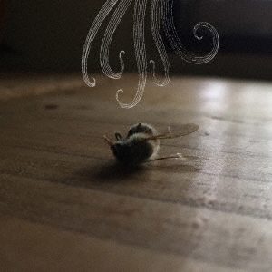 Image for 4941135980736-m