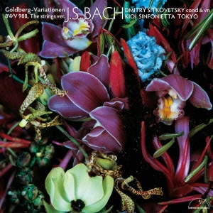 Image for 4944099305133-m