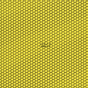 Image for 4948722541219-m