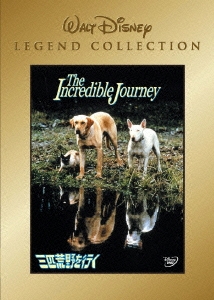 Image for 4959241938930-m