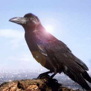 Image for 4988006205246-m