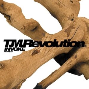 Image for 4988010004385-m