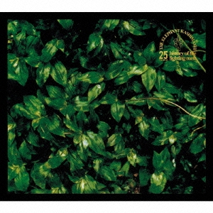 Image for 4988013396166-m