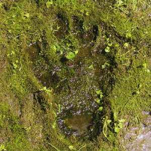 Image for 4988017643600-m