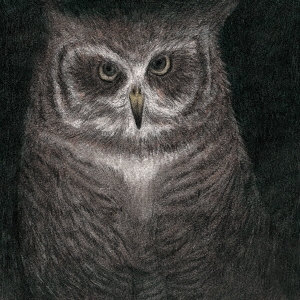 Image for 4988031244432-m