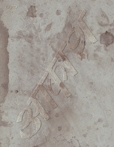 Image for 4988031302491-m