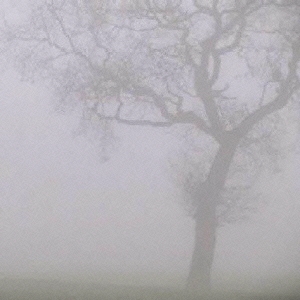 Image for 4988044630024-m