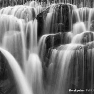 Image for 4988044922099-m