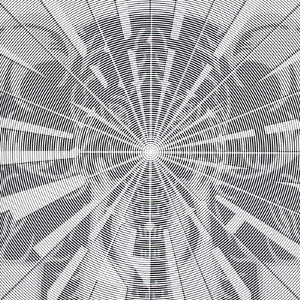 Image for 4988061891385-m