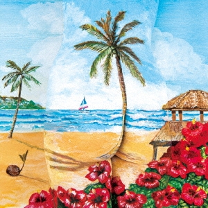 Image for 4988064835881-m