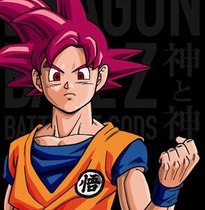 Image for 4988101172832-m